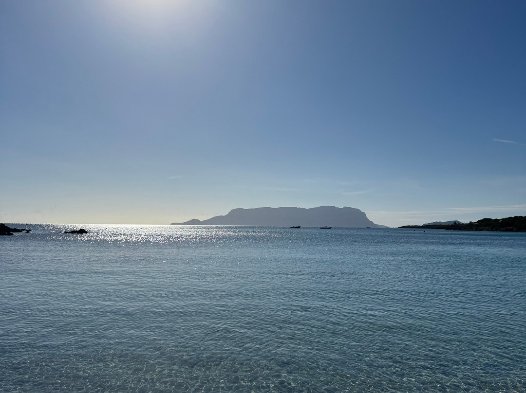 Spiaggia di Terrata Golfo Aranci-Golfo Aranci必去景点