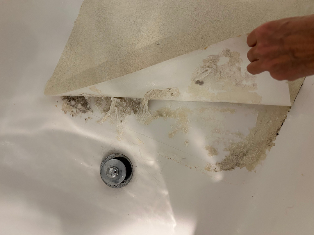 钱伯斯堡I-81温德姆速8酒店主图