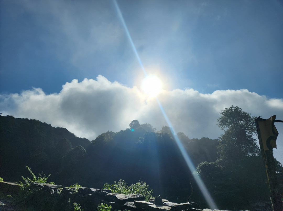 Nine Furlongs, Binsar Wildlife Sanctuary主图