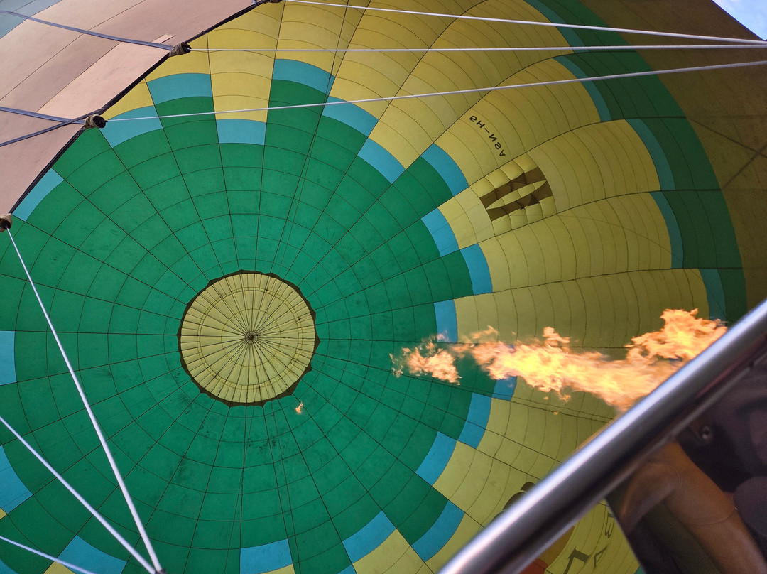 Nyssa Balloon Safaris-Seronera必去景点