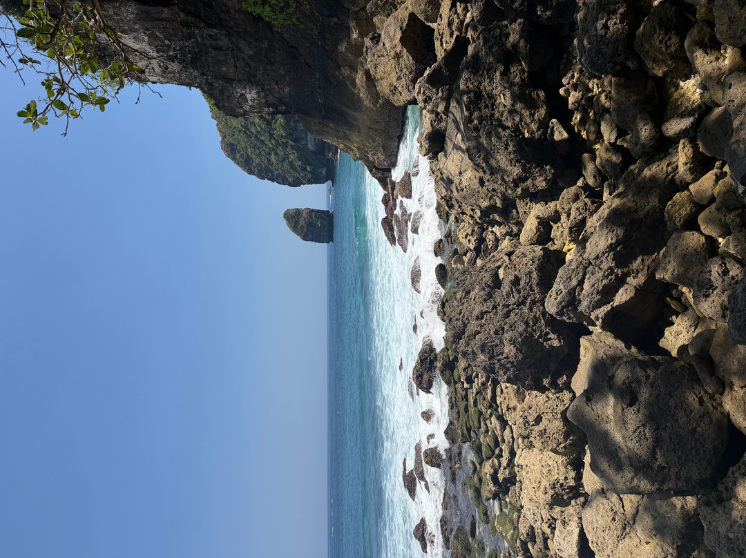Tembeling Beach and Forest-珀尼达岛必去景点