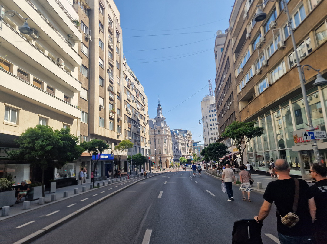 Calea Victoriei-布加勒斯特必去景点