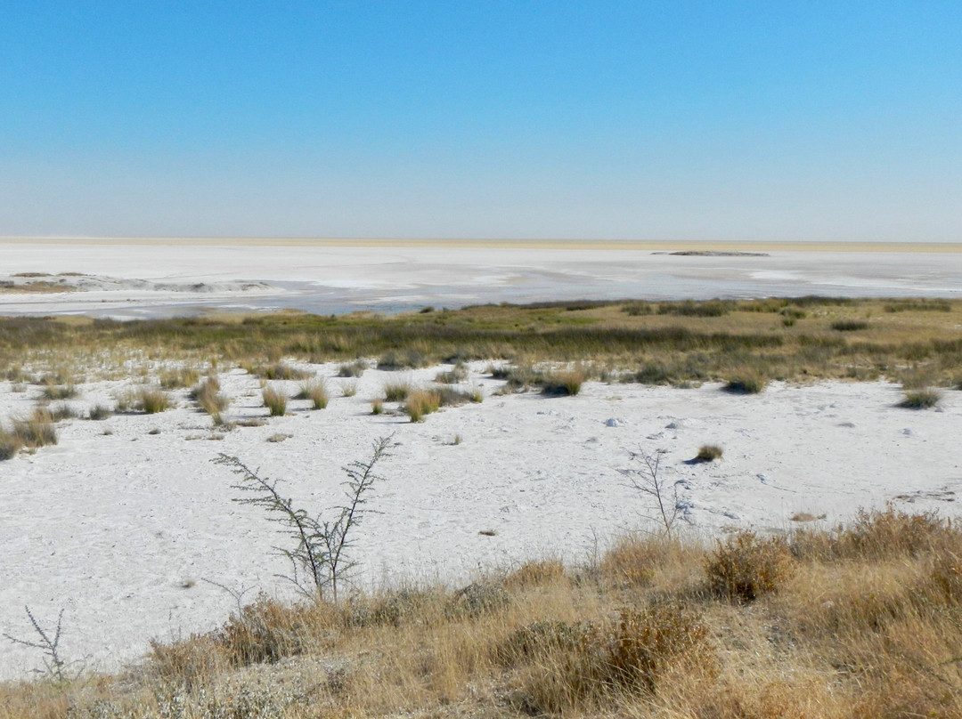 Etosha Pan-纳米比亚埃托沙国家公园必去景点