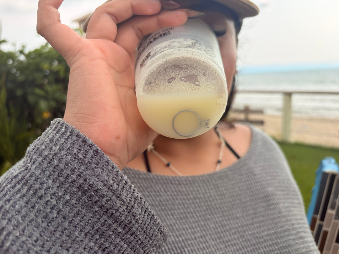 瓦雅塔桑巴全包酒店主图