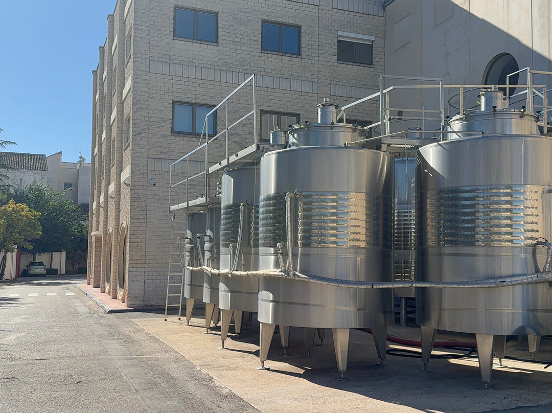 Bodegas Castaño-Yecla必去景点