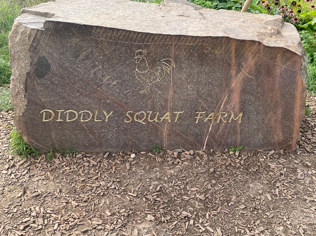 Diddly Squat Farm Shop-奇平诺顿必去景点