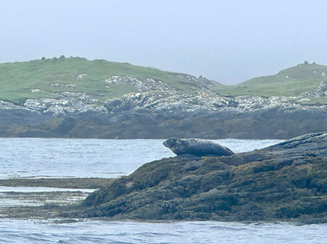 Lady Anne Wildlife Cruises-Grimsay必去景点