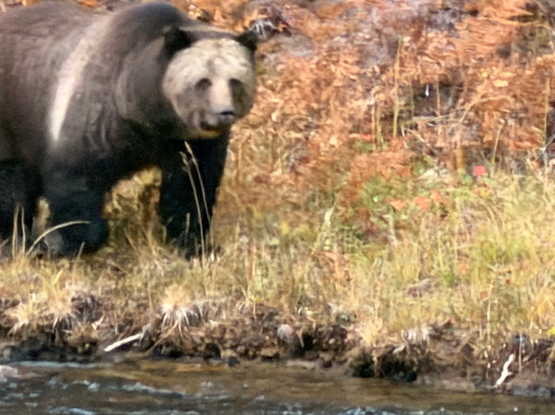 Yellowstone National Park-黄石国家公园必去景点