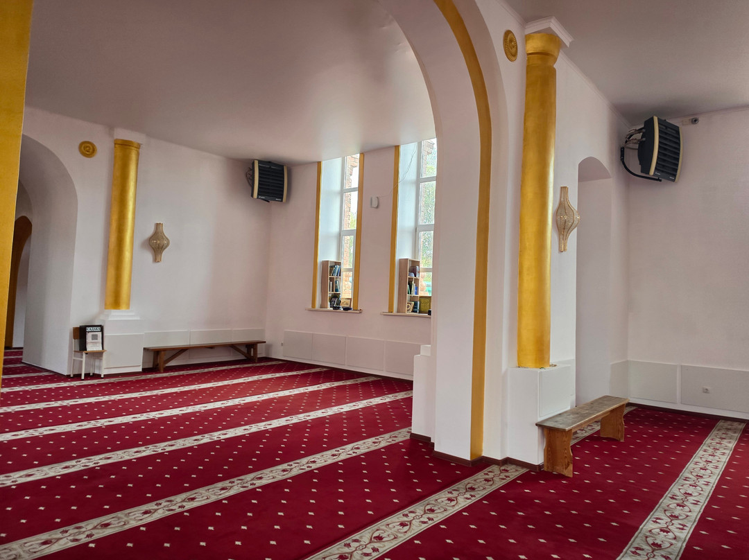 Red Great Mosque-托木斯克必去景点