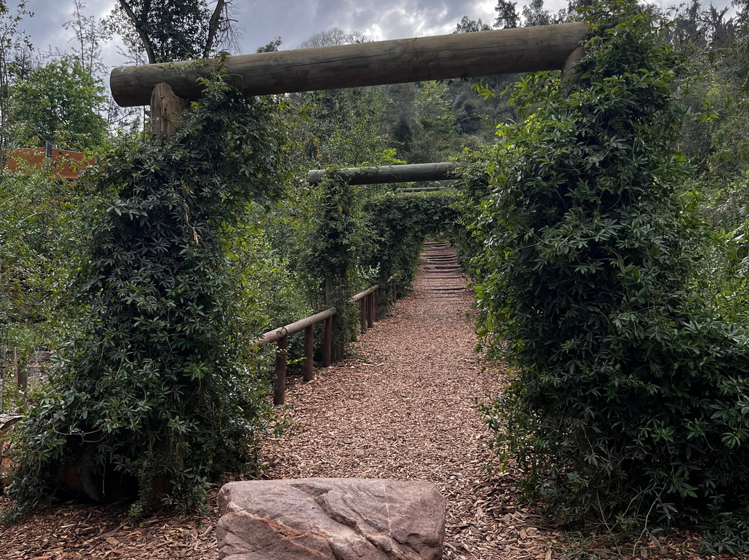 Teleférico Santiago by Turistik-圣地亚哥必去景点