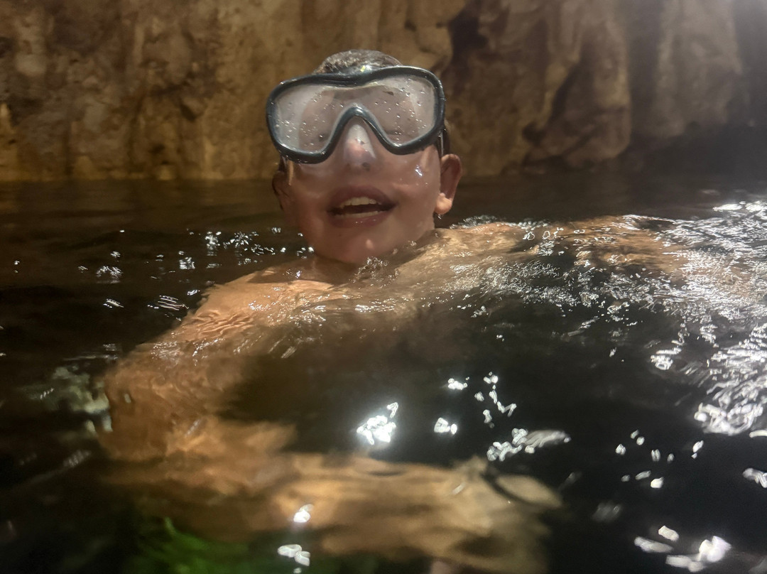 YucatanCenote .com Eco-Adventures-Progreso必去景点