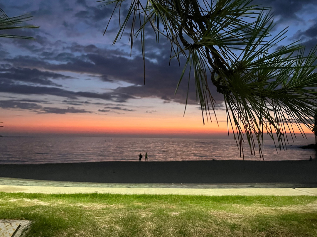 Shirahama Beach-下田市必去景点