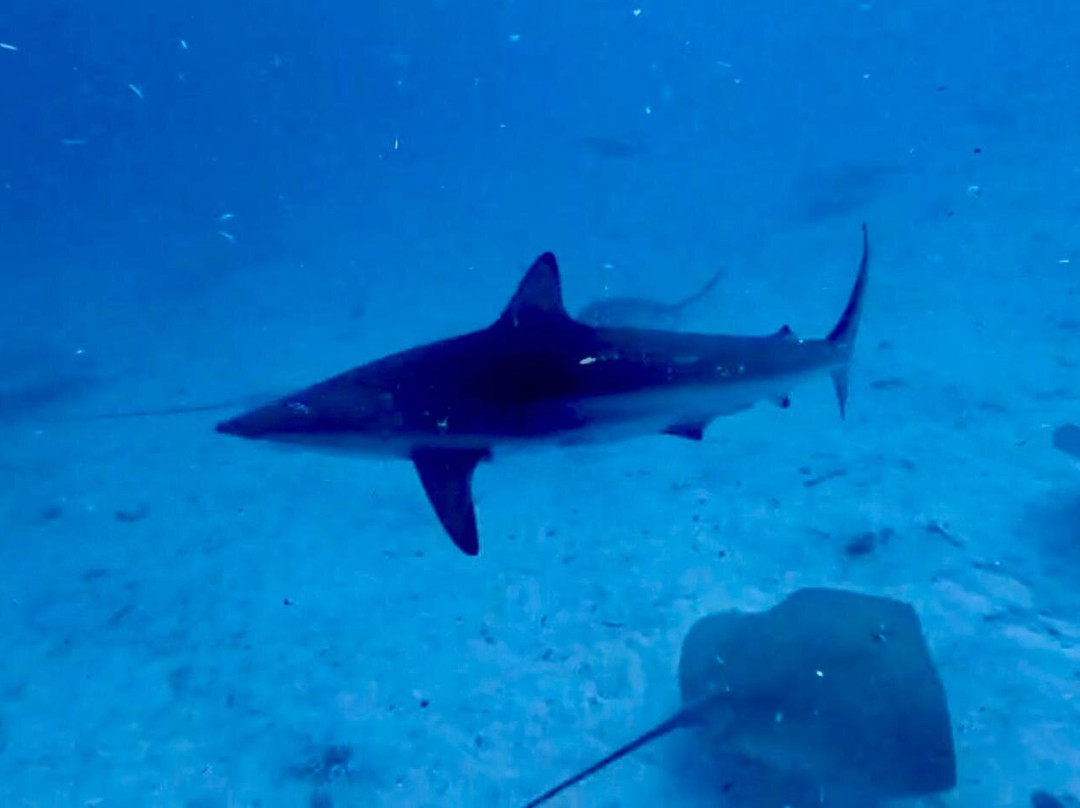 Himmafushi Scuba Adventure-Himmafushi Island必去景点