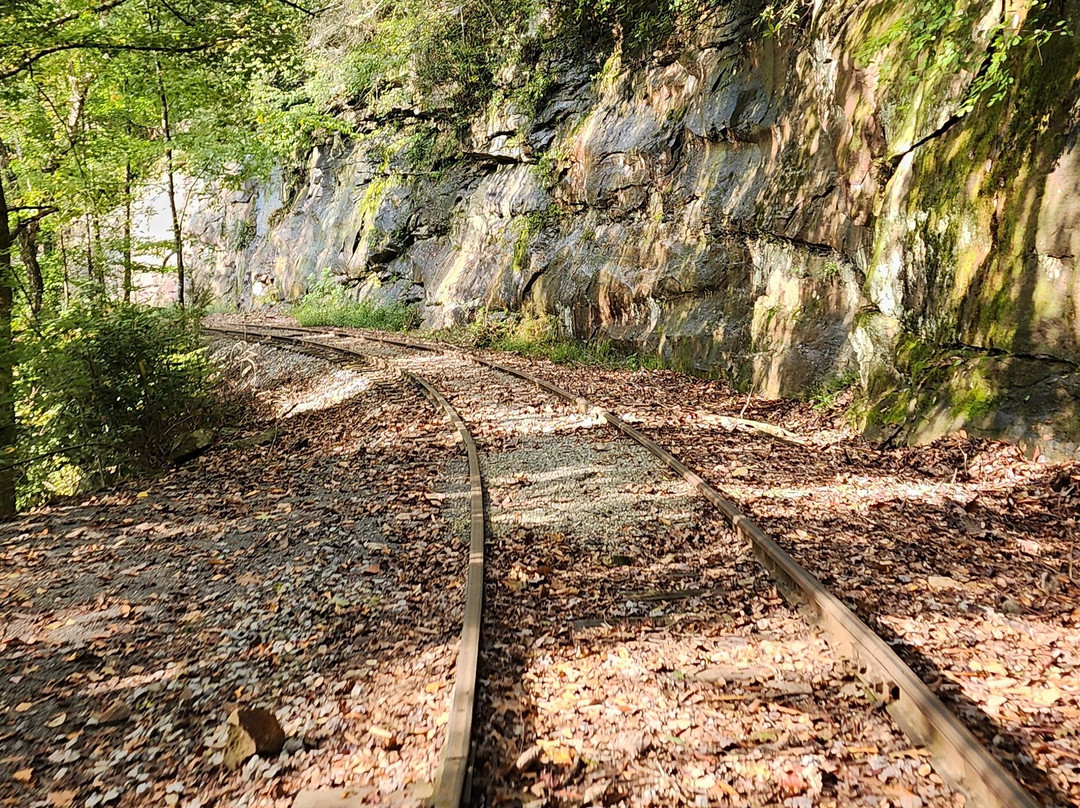 Rail Explorers: Elk River Division-Clay必去景点
