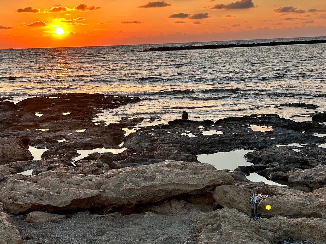 Constantinou Bros Pioneer Beach Hotel主图