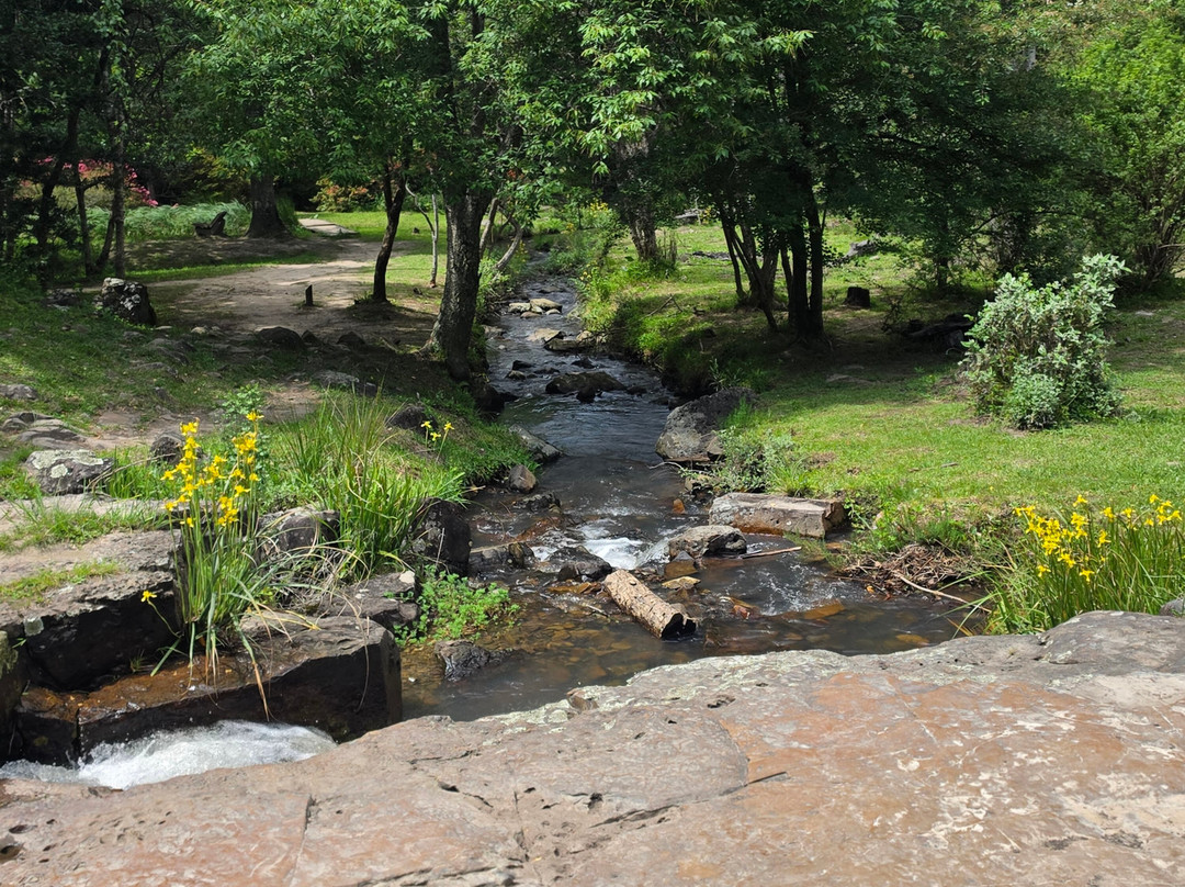 Hogsback Arboretum-Hogsback必去景点
