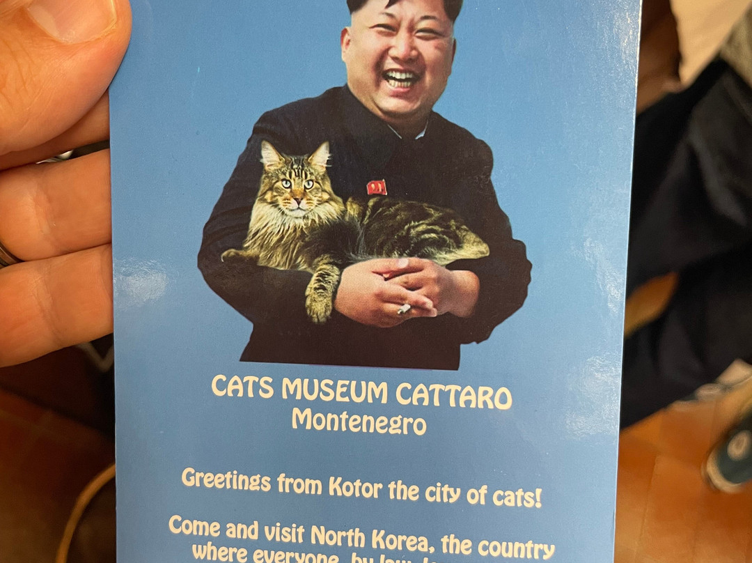 Cats Museum-科托尔必去景点