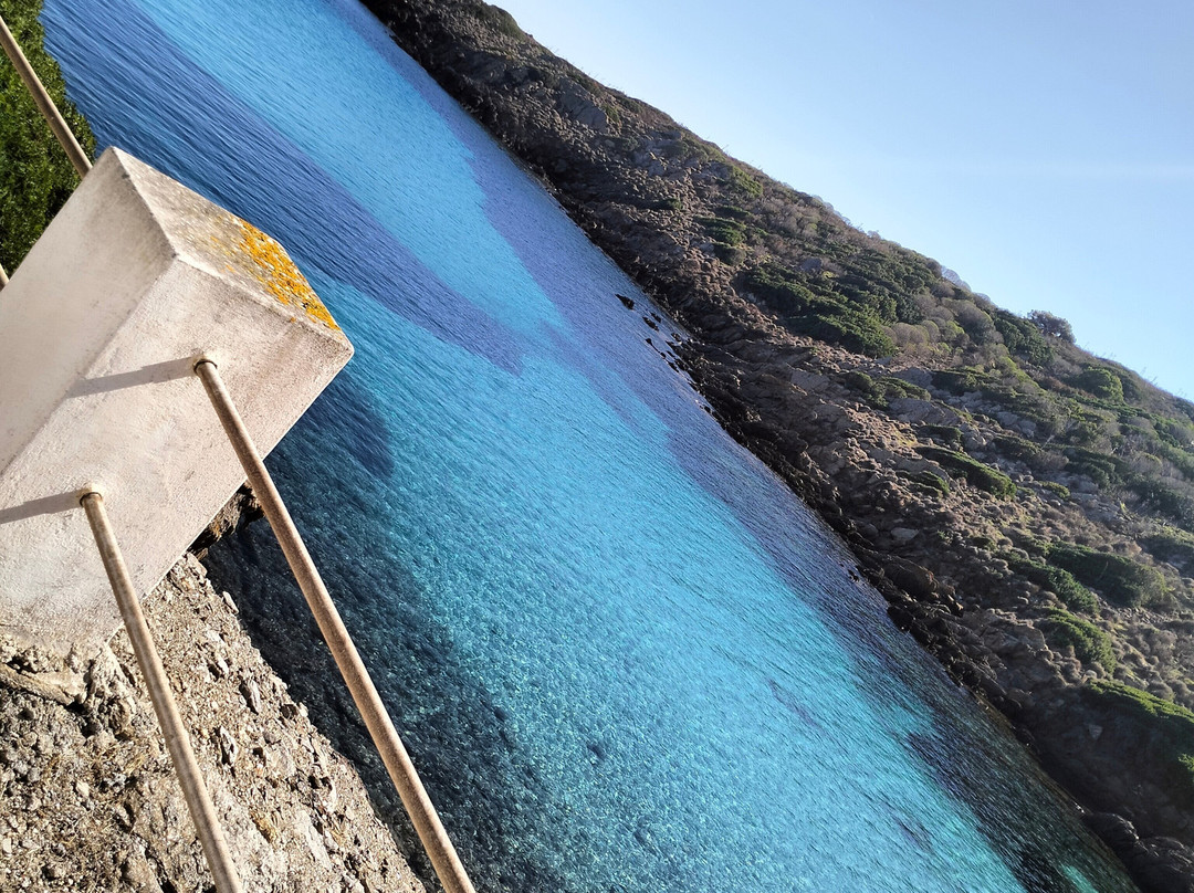 Asinara Charter Service-斯廷蒂诺必去景点