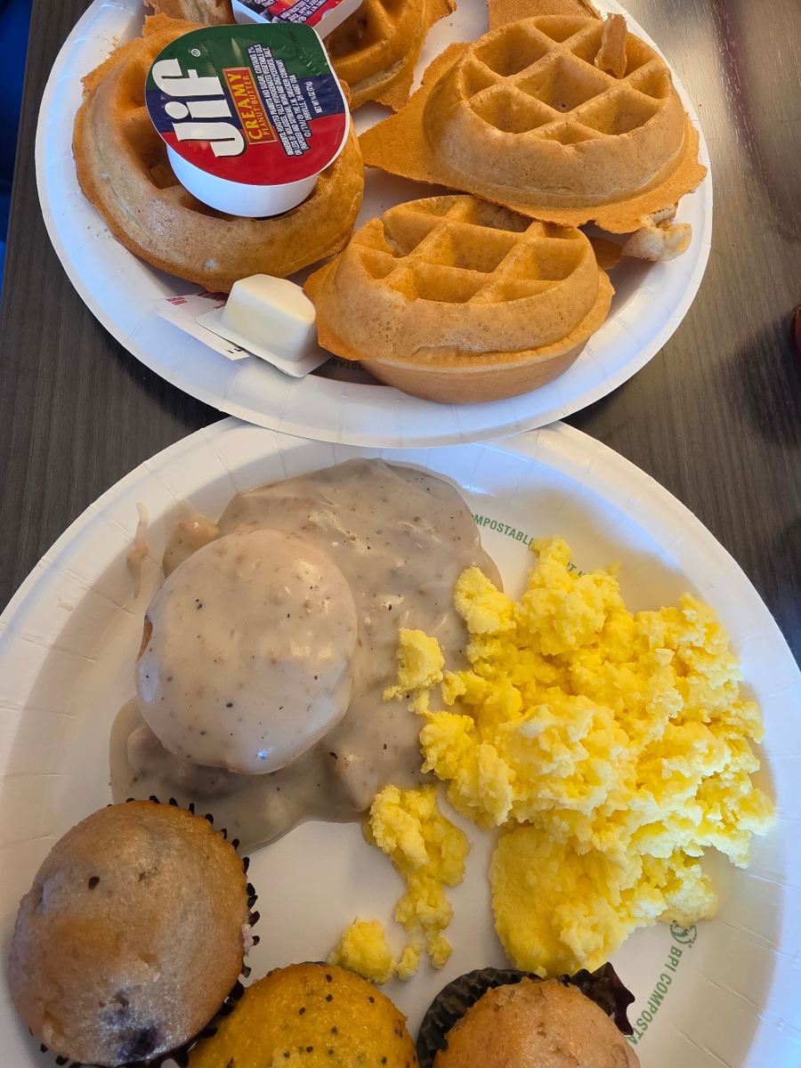 阿特金森堡温德姆美吟温德姆酒店-旅行者