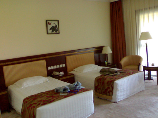 天下第一城新园酒店