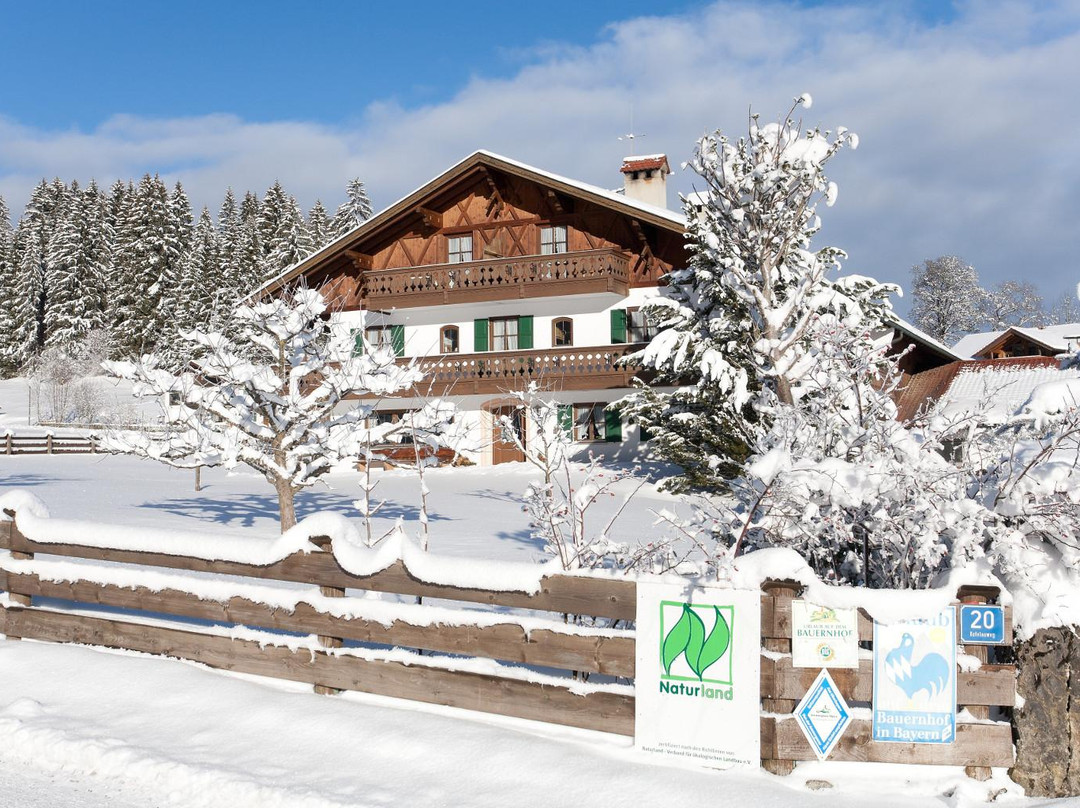 奥伯阿默高酒店住宿-Ferienhof zum Zoberbauer