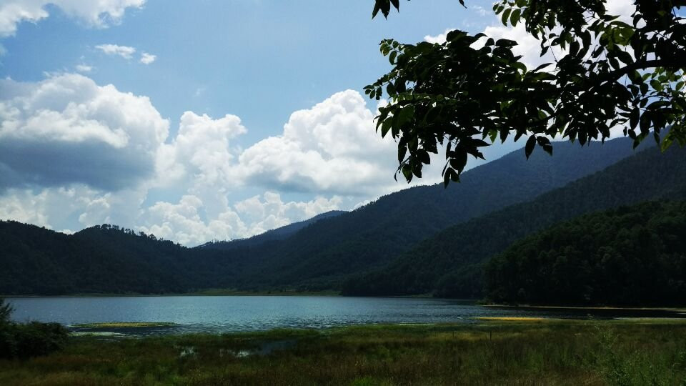 云南天池湿地景点图片