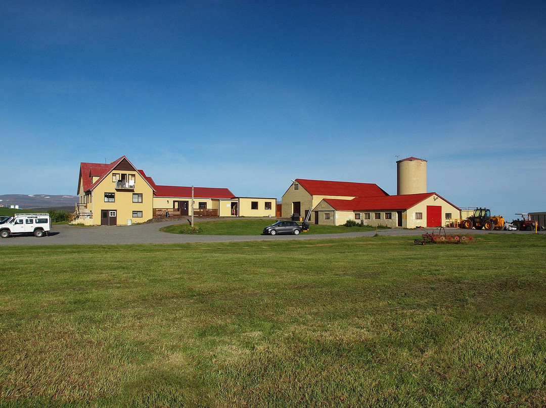 Stadarholl Motel & Guesthouse