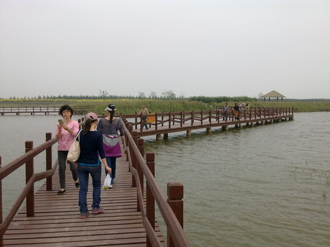 西青郊野公园-天津市必去景点