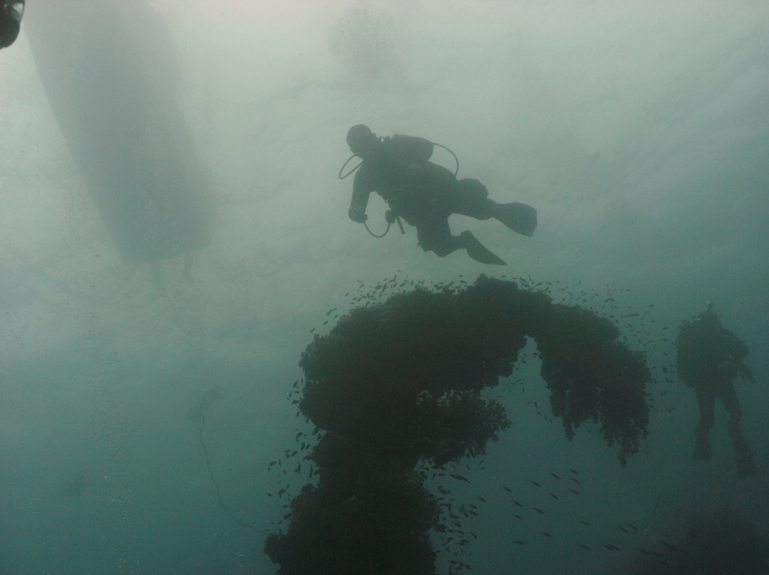 Toucan Dive Inc-Lake Villa必去景点