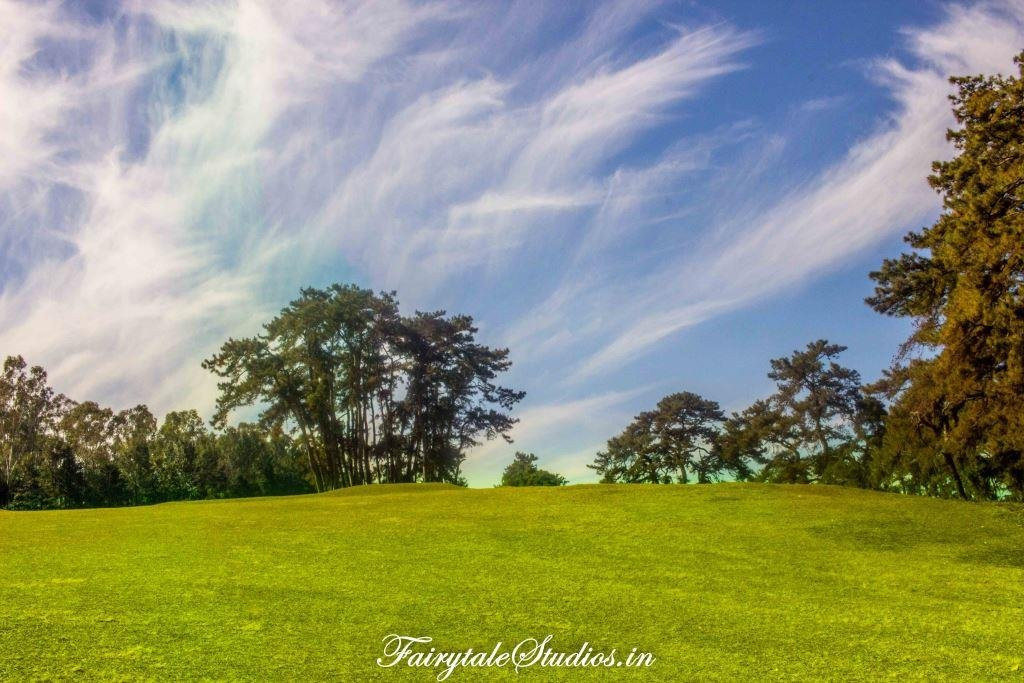 Golf Links景点图片