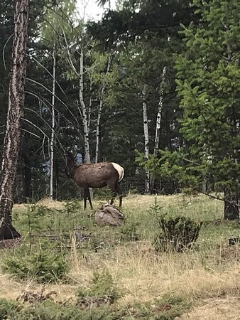 Lake Edith-贾斯珀必去景点