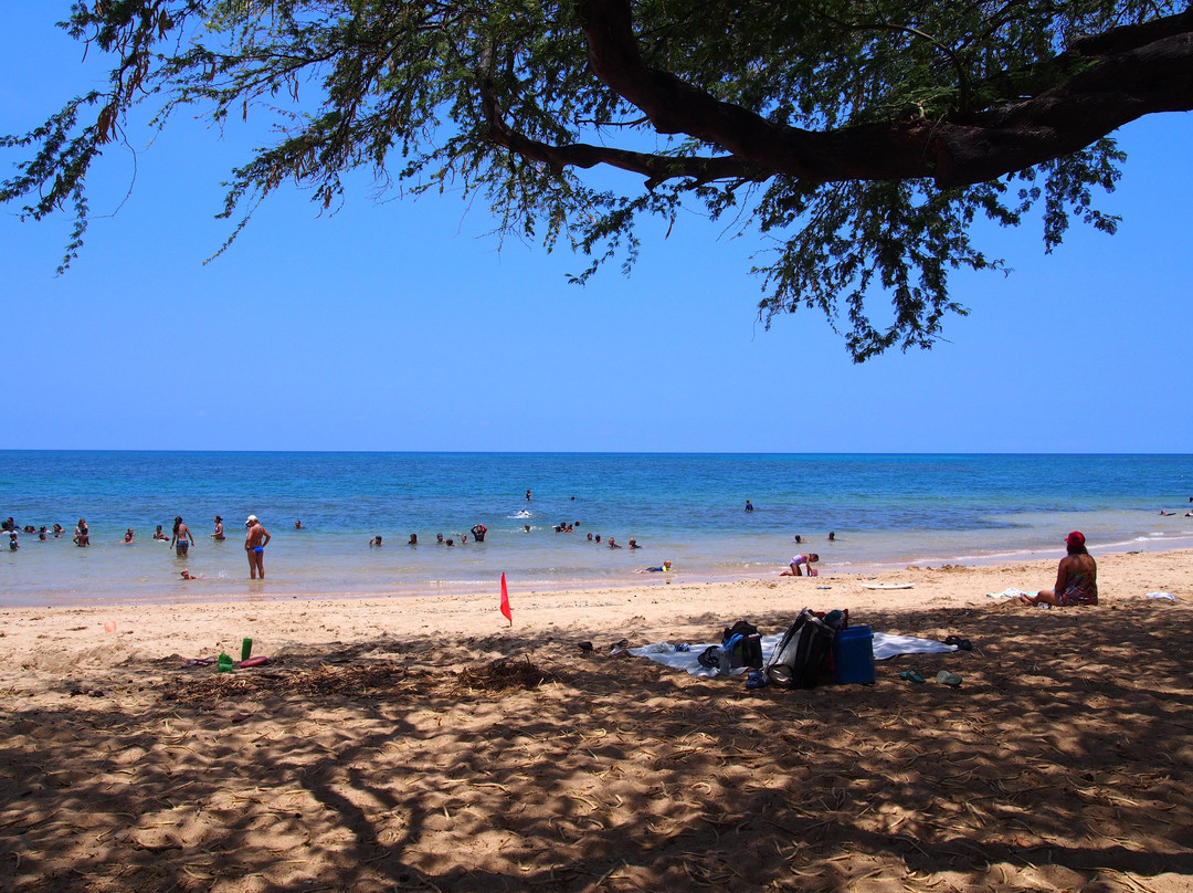 斯宾塞海滨公园-卡慕也拉必去景点