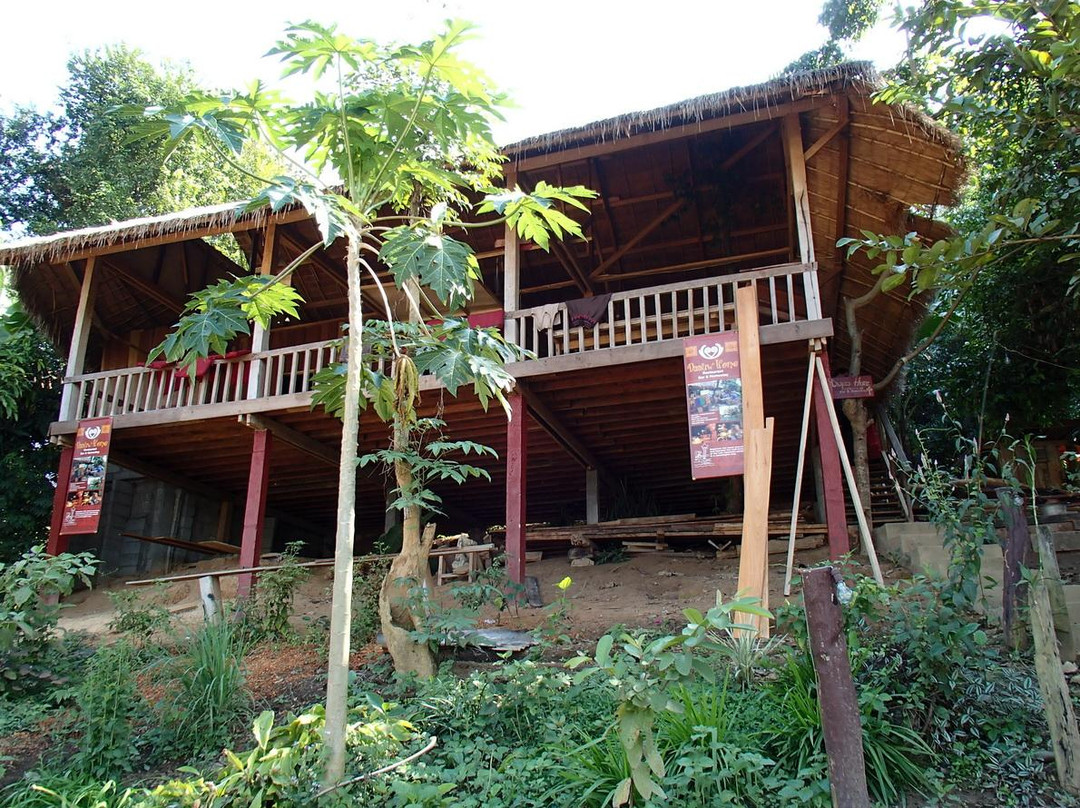 Project Kajsiab Laos