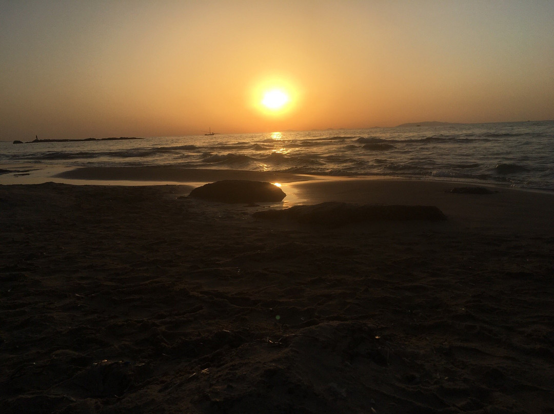 Moby Dick-Castelsardo必去景点