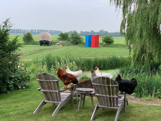 Autopuzzeltochten-格罗宁根省必去景点