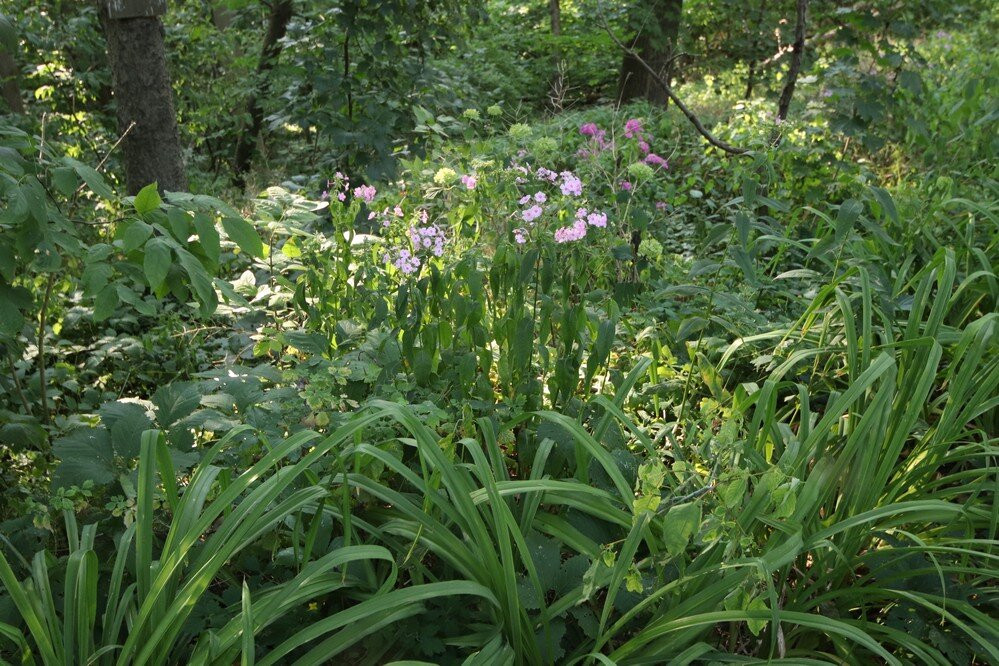 John Nemy Nature Trail-方特希尔必去景点