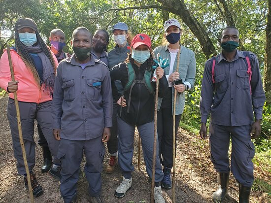 Jungle Memories-Wakiso必去景点