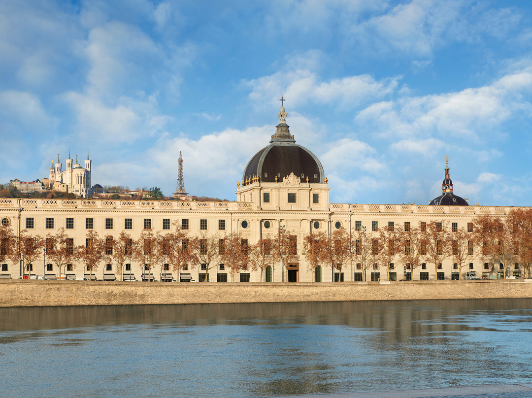 Intercontinental Lyon - Hotel Dieu By IHG