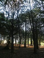 Alfreton Park景点图片