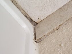 Greystone Inn & Suites主图