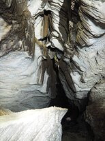 Oparara Kahurangi National Park Guided Tours景点图片