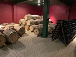 Portico Nova Padua-Nova Padua必去景点