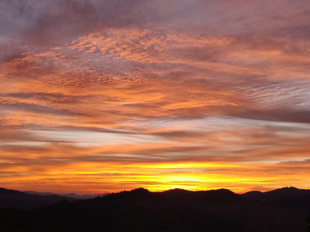 Trishul Orchard Resort主图