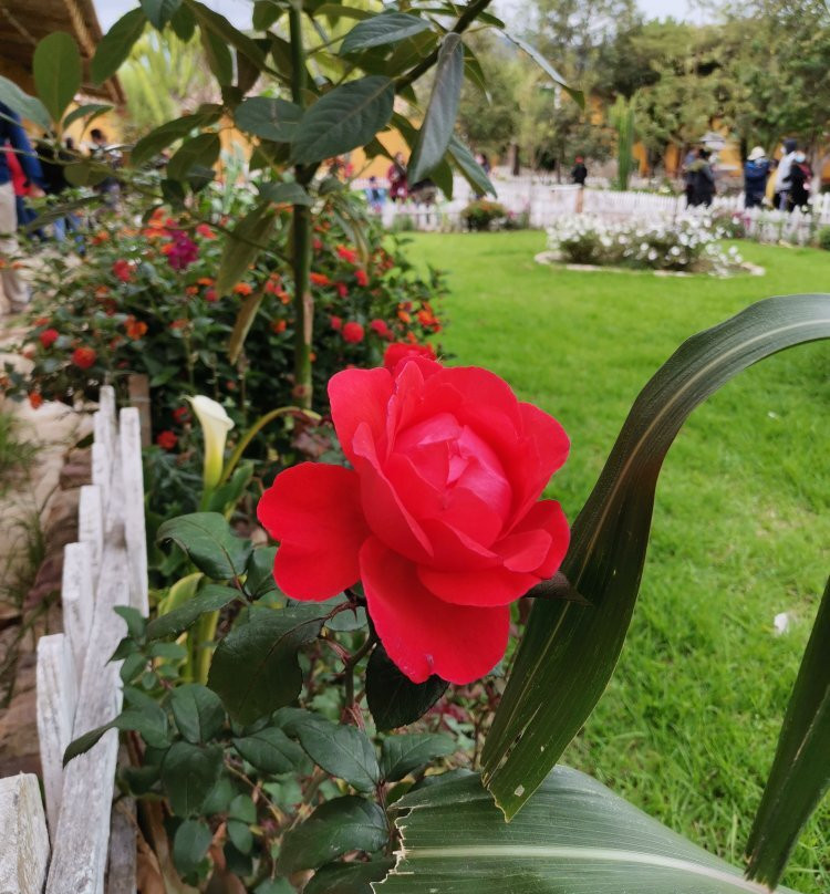 Hacienda La Collpa-卡哈马卡必去景点