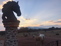 Resort Las Cascadas主图