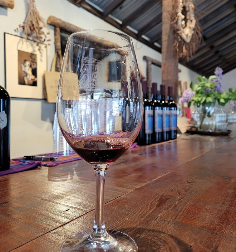 Blue Door Winery-朱利安必去景点