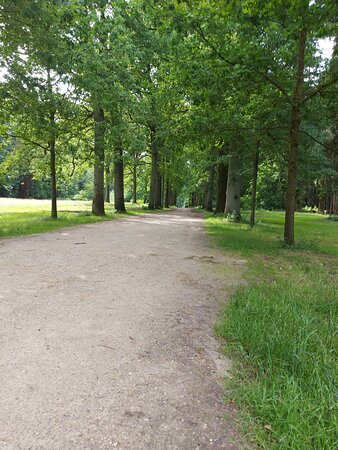 Arboretum Tervuren-Tervuren必去景点