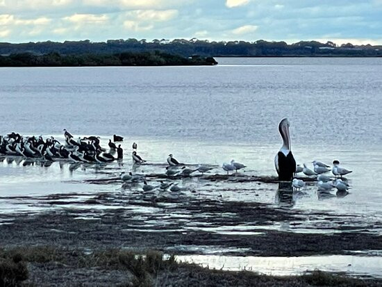 Swan Bay-皇后崖必去景点