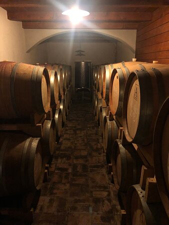 Matosevic Winery-Kruncici必去景点