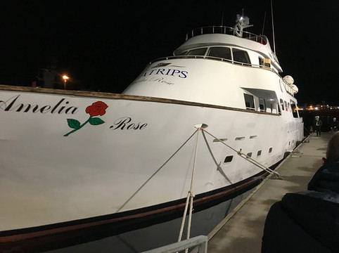 Sea Trips Reykjavík-雷克雅未克必去景点